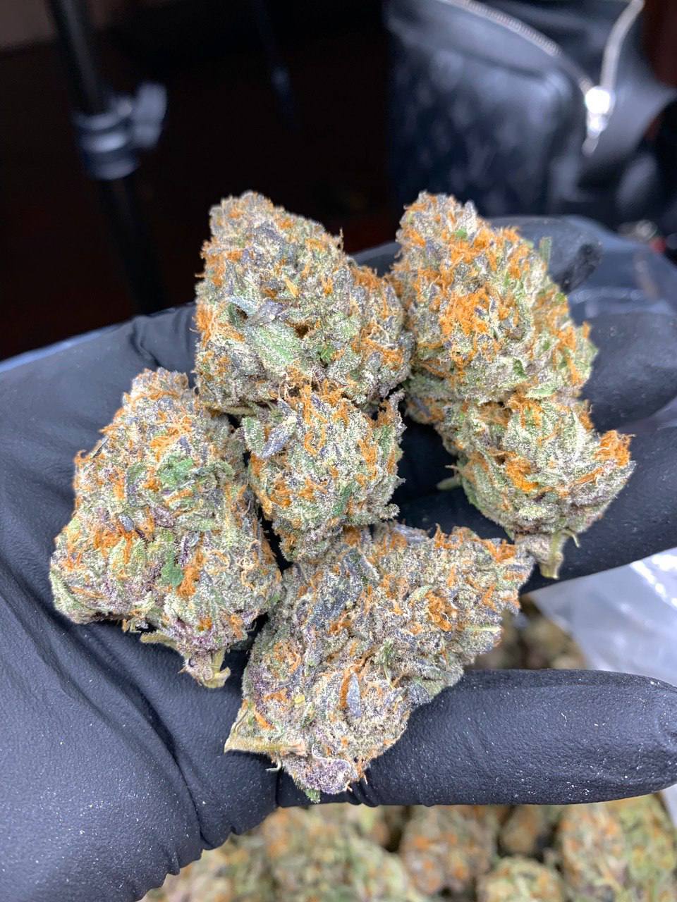 Purple Punch flower
